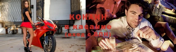 винт Алзамай