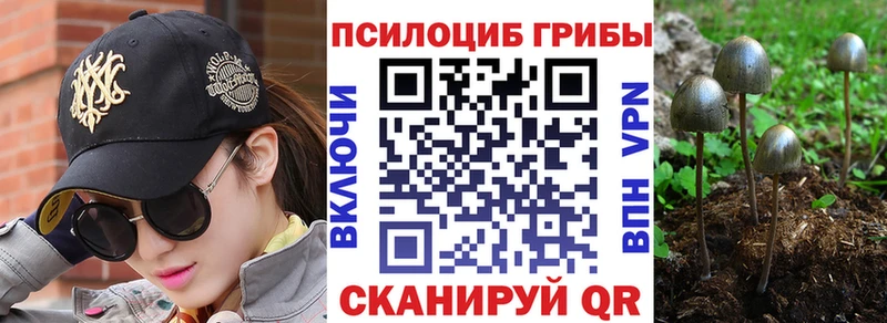 Псилоцибиновые грибы MAGIC MUSHROOMS  Красково 